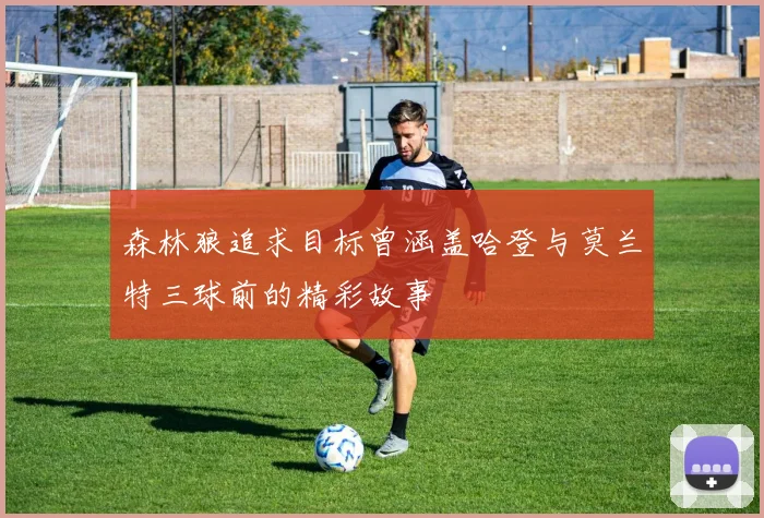 森林狼追求目标曾涵盖哈登与莫兰特三球前的精彩故事